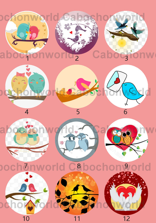 Belle collection de cabochons d'oiseaux CWN0018