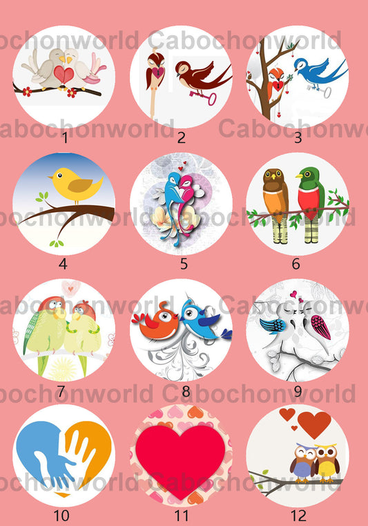 Belle collection de cabochons d'oiseaux CWN0019