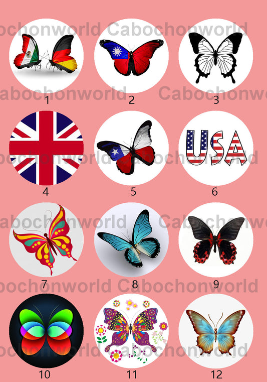 Collection de cabochons papillon CWN0022