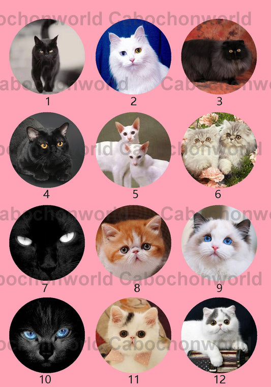 Collection de cabochons de chat mignon CWN0026