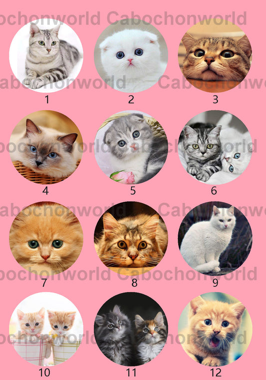 Collection de cabochons de chat mignon CWN0027