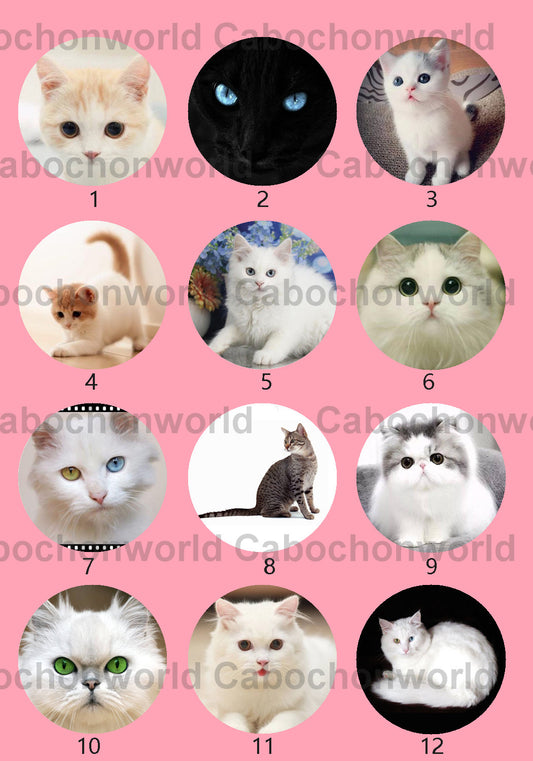 Collection de cabochons de chat mignon CWN0028