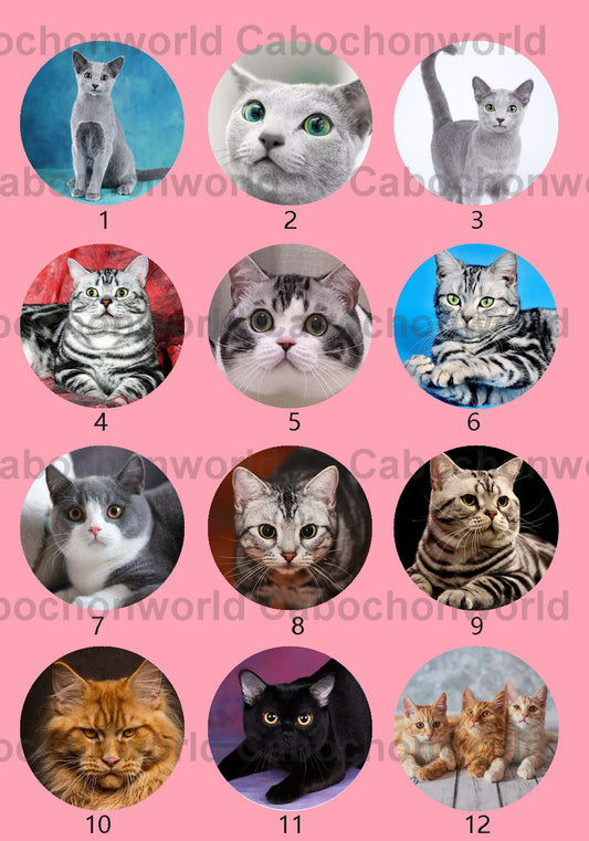 Collection de cabochons de chat mignon CWN0030