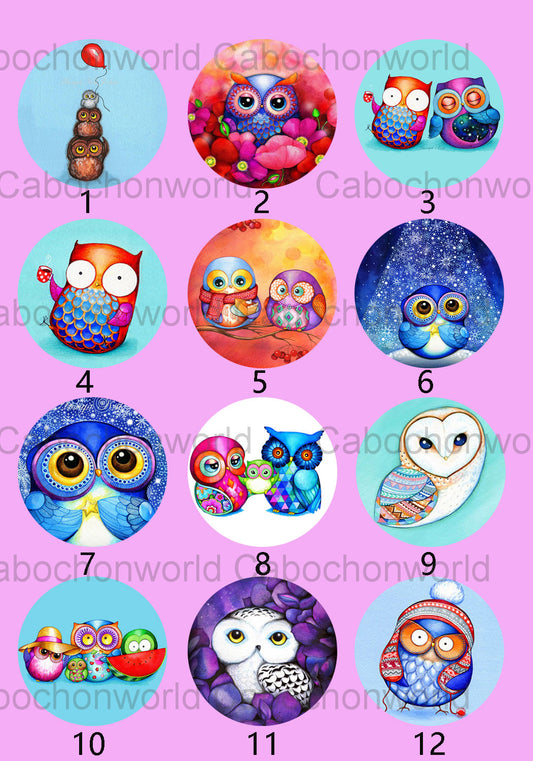 Collection de cabochons de peinture de hibou de dessin animé CW0225