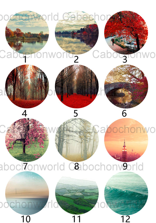 Collection de cabochons d'automne CW0352