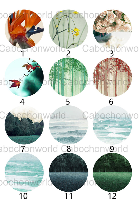 Collection de cabochons de beaux paysages CW0356