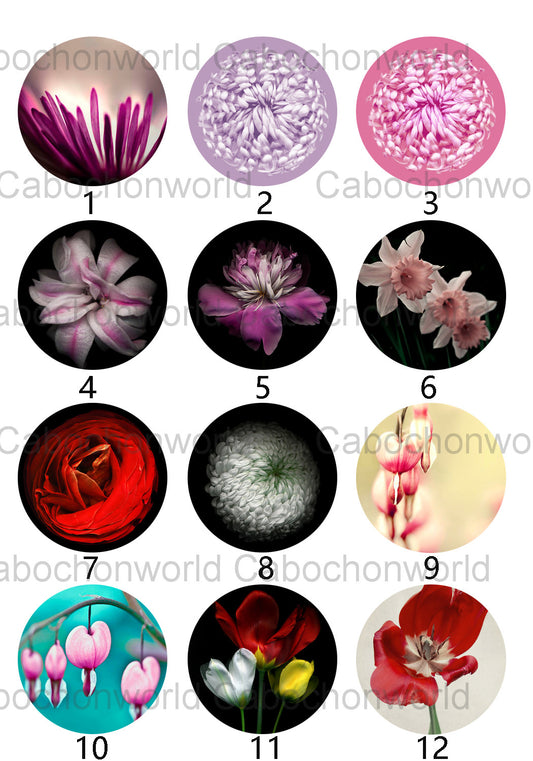 Belle collection de cabochons de fleurs CW0357