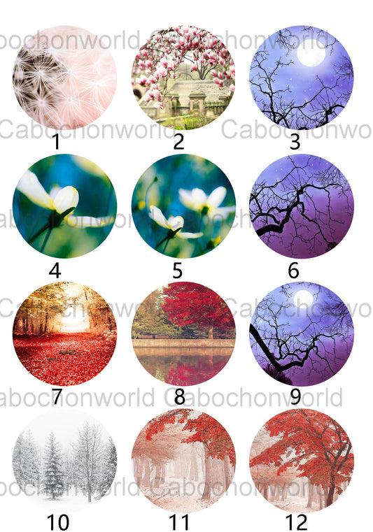 Collection de cabochons de beaux paysages CW0358