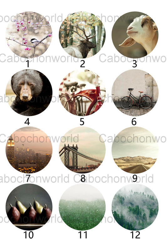 Collection de cabochons de beaux paysages CW0359