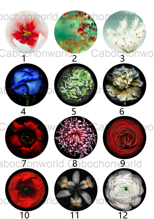 Belle collection de cabochons de fleurs CW0361