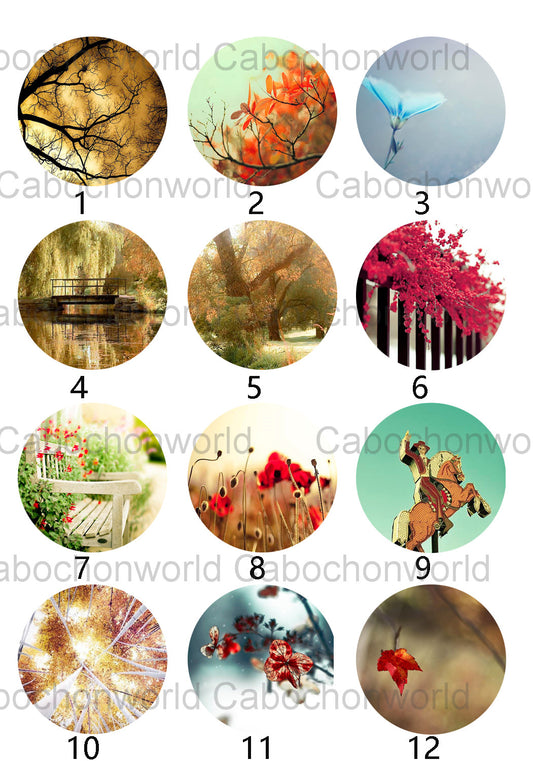 Collection de cabochons de beaux paysages CW0362