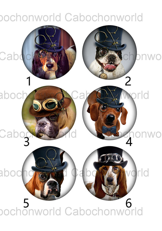Collection de cabochons chien au chapeau CW0365