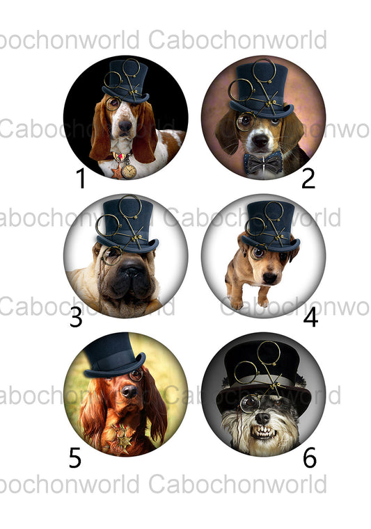 Collection de cabochons chien au chapeau CW0366