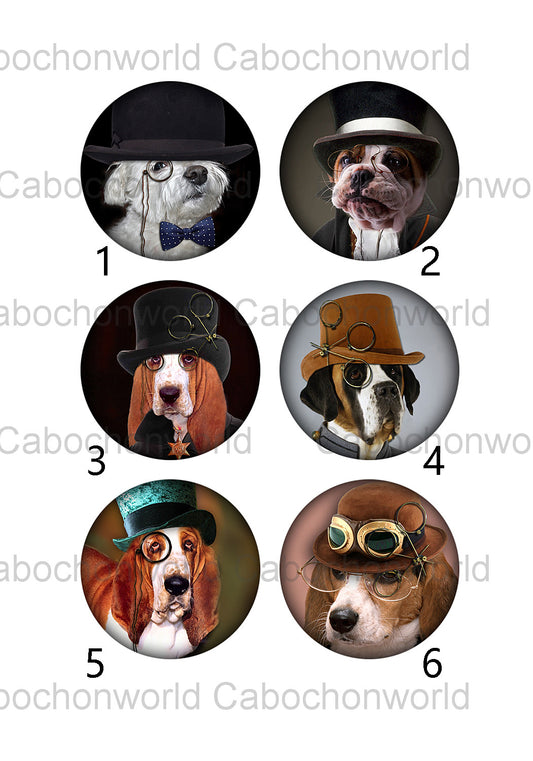 Collection de cabochons chien au chapeau CW0367