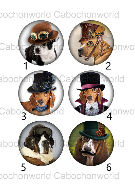 Collection de cabochons chien au chapeau CW0368