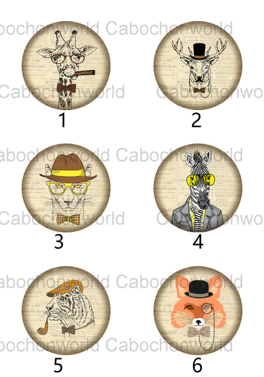 Collection de cabochons d'animaux habillés CW0369