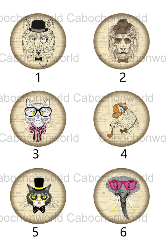 Collection de cabochons d'animaux habillés CW0370