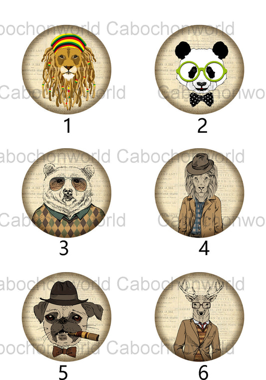 Collection de cabochons d'animaux habillés CW0371