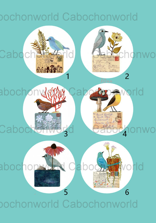 Collection de cabochons de lettres d'oiseaux CW0444