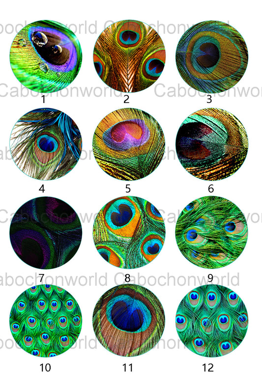 Collection de cabochons plumes de paon CW0493