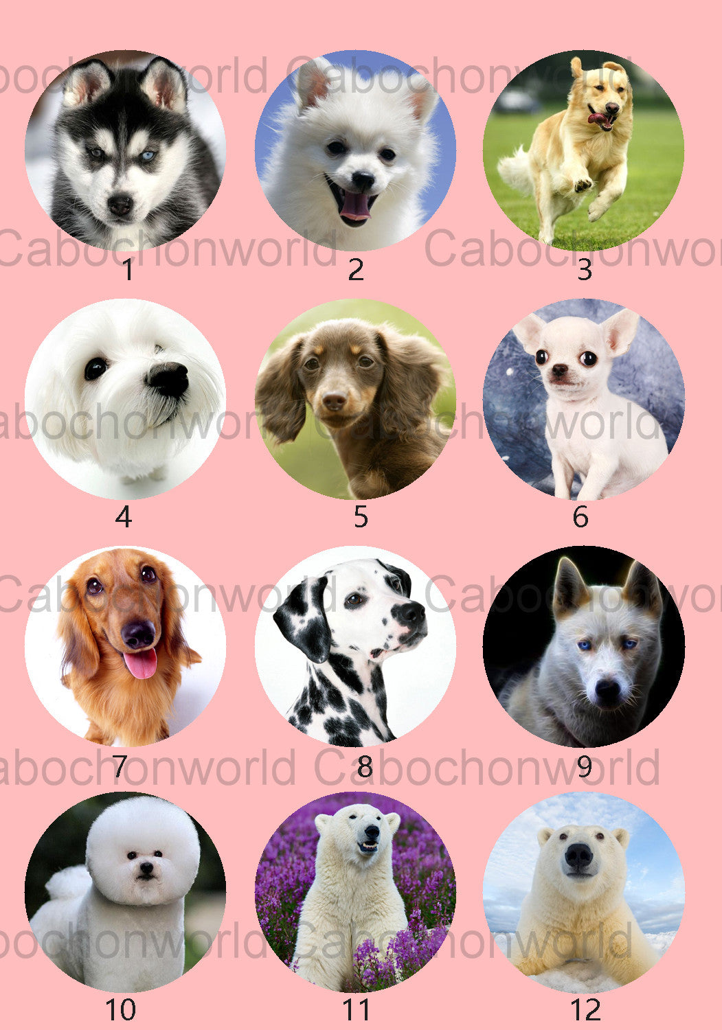 Schöne Hunde-Cabochon-Kollektion CW0539