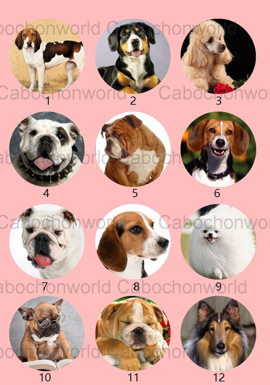 Schöne Hunde-Cabochon-Kollektion CW0540