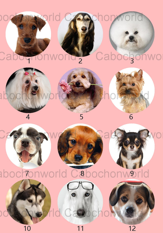 Belle collection de cabochons de chien CW0541
