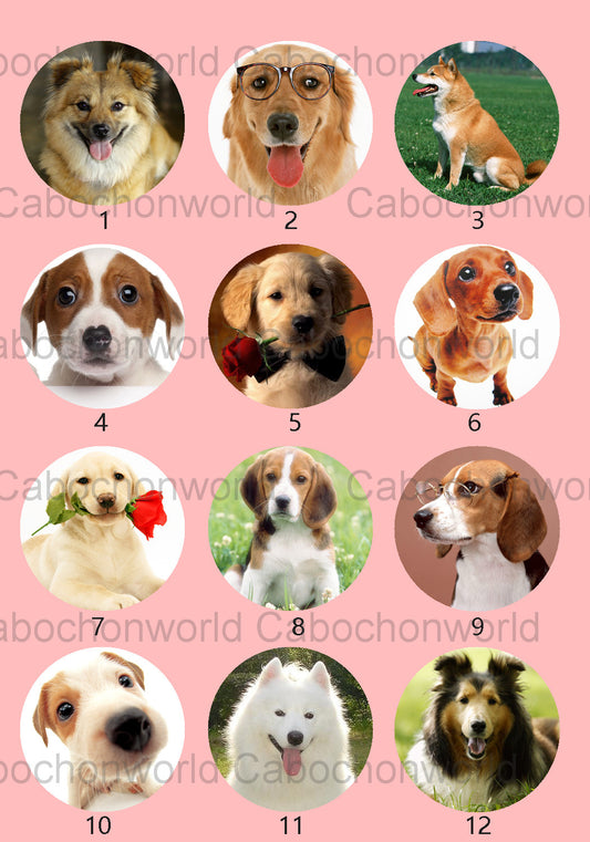 Belle collection de cabochons de chien CW0542