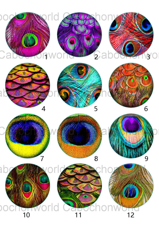 Collection de cabochons plumes de paon CW0545