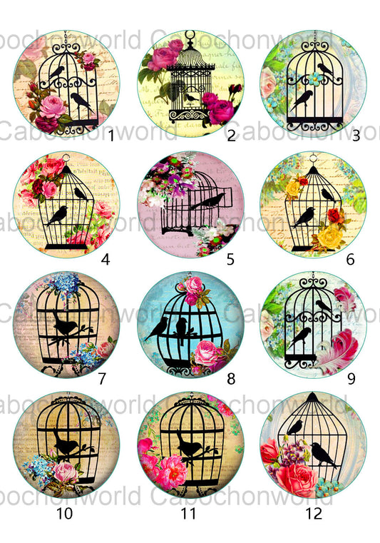 Collection de cabochons de cage à oiseaux CW0546