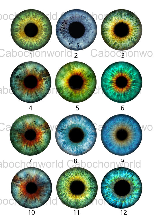 Collection de cabochons iris des yeux CW0577