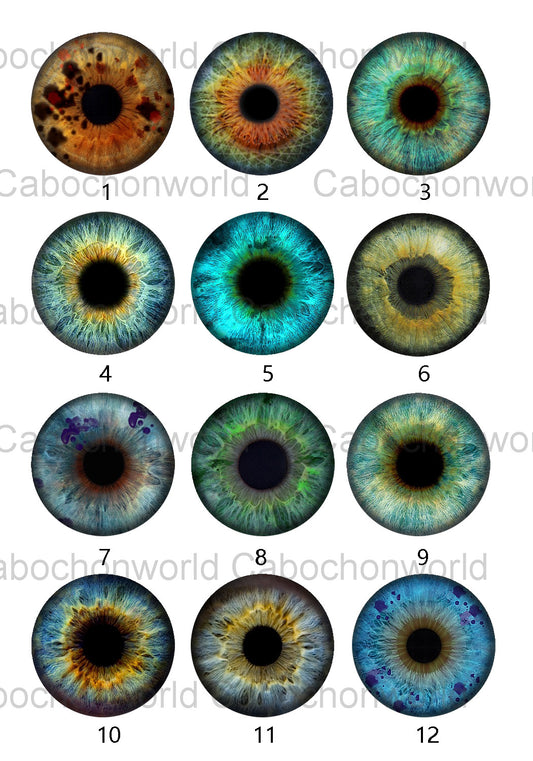 Collection de cabochons iris des yeux CW0578