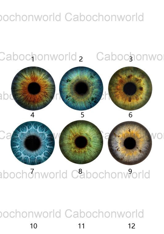 Collection de cabochons iris des yeux CW0581