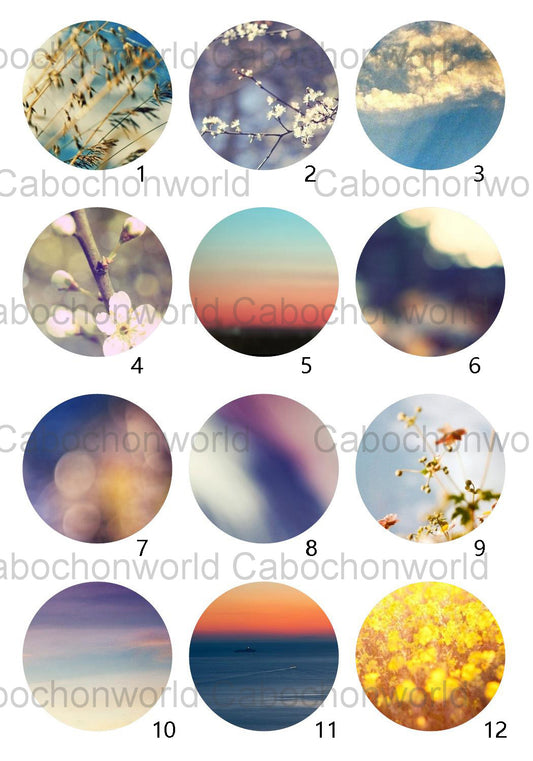 Collection de cabochons de beaux paysages CW0583