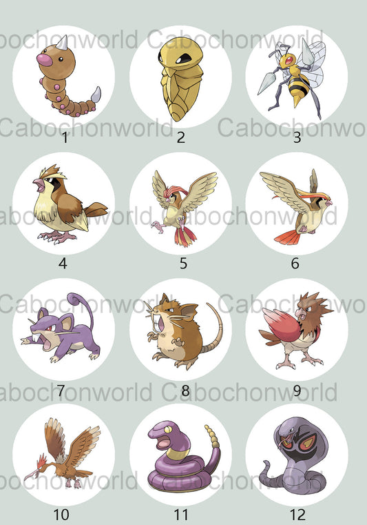 Collection de cabochons Pokémon CW0696